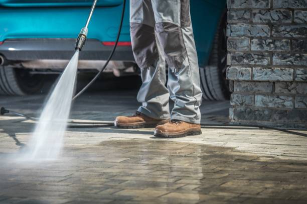 Best Roof Washing  in Elton, LA