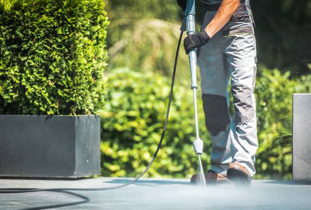 Best Dumpster Area Cleaning  in Elton, LA